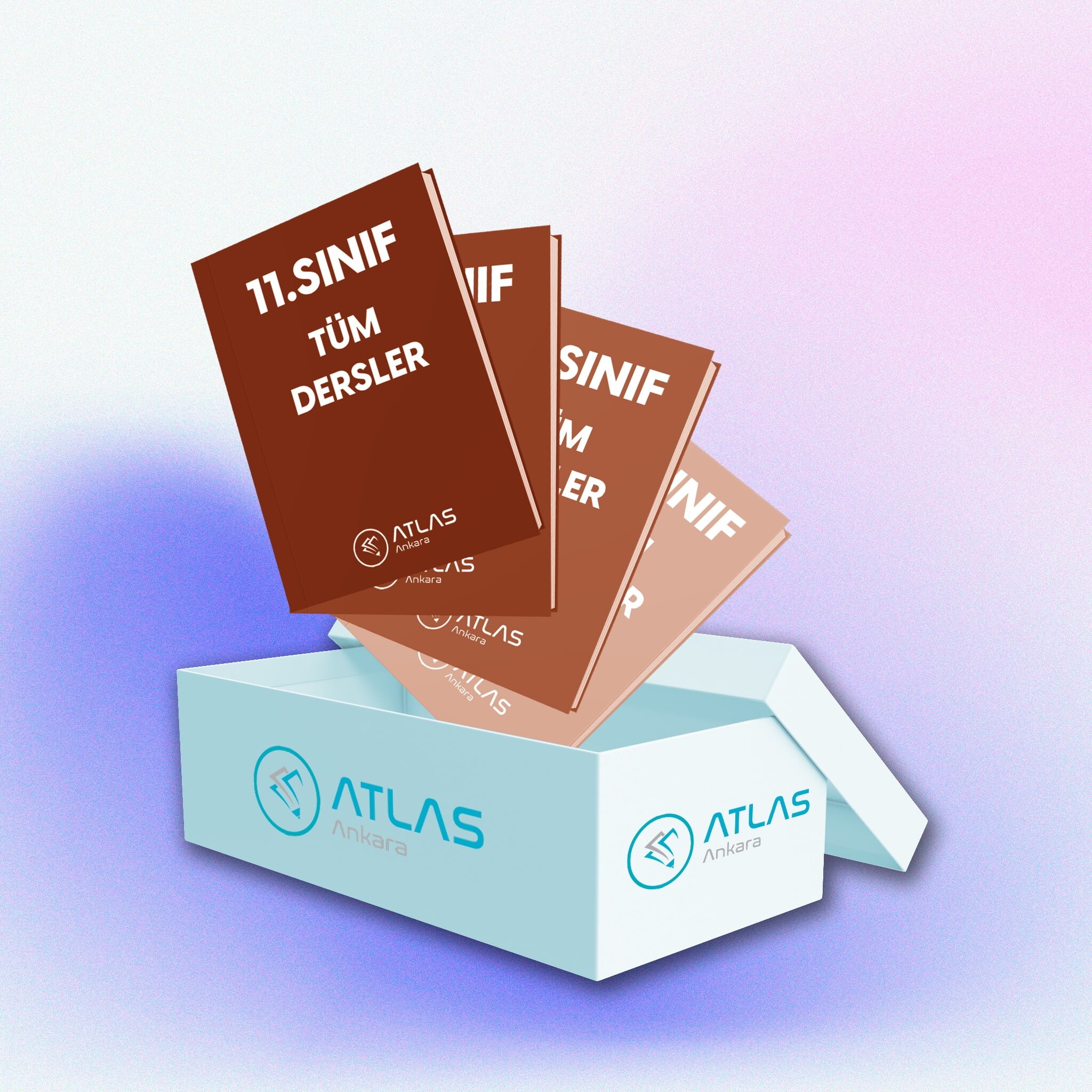 11. Sınıf Tüm Dersler