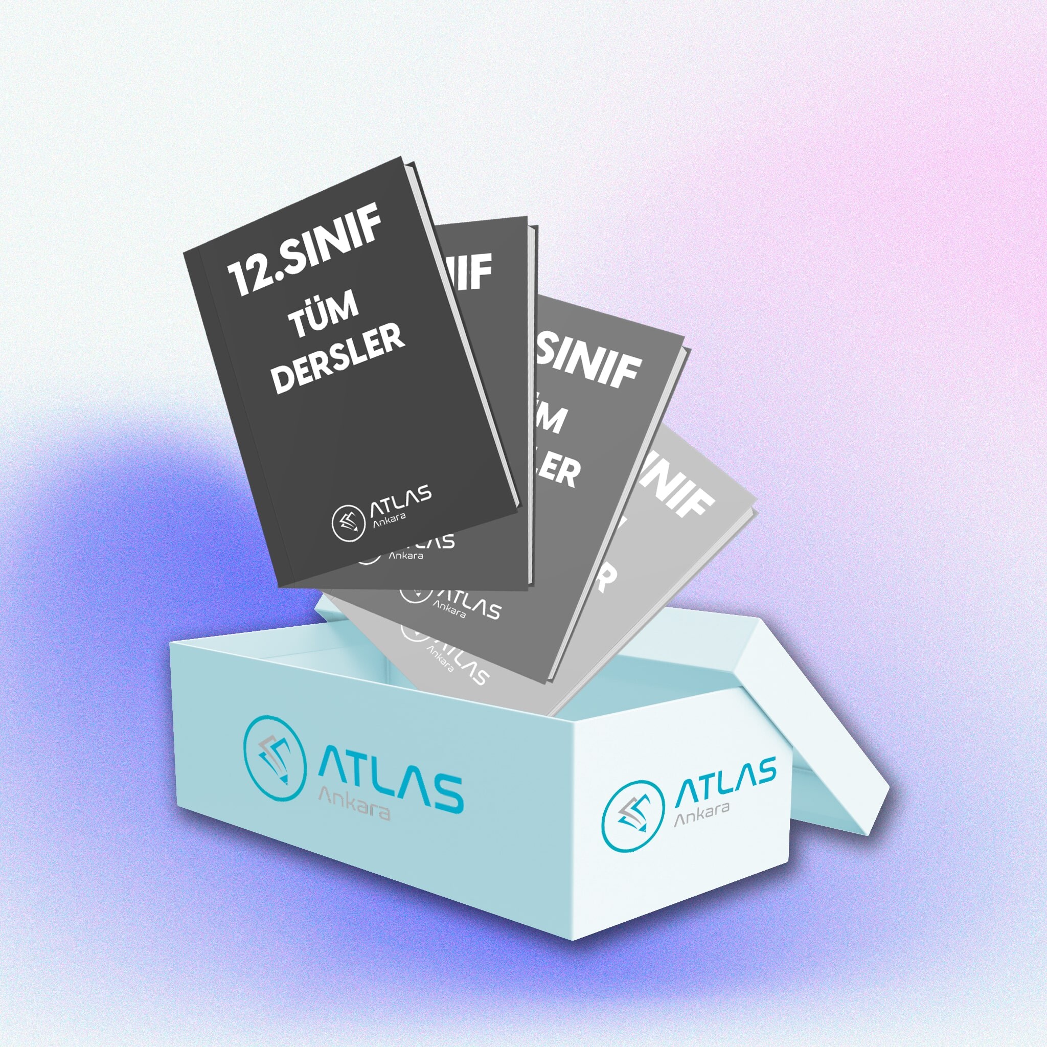 12. Sınıf Tüm Dersler