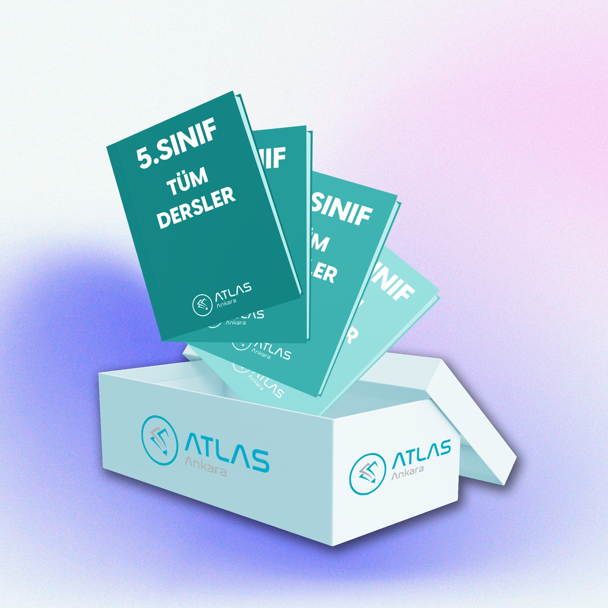 5. Sınıf Tüm Dersler