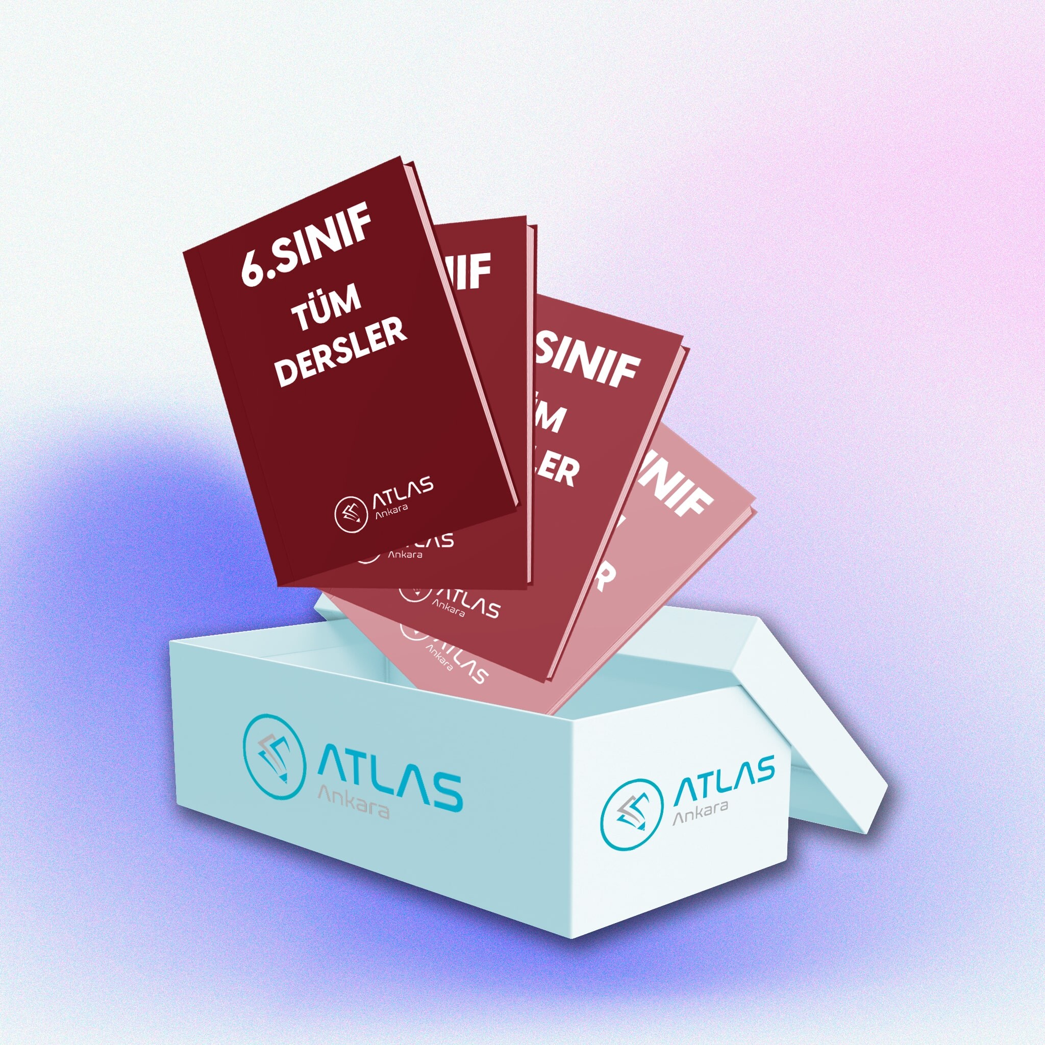 6. Sınıf Tüm Dersler