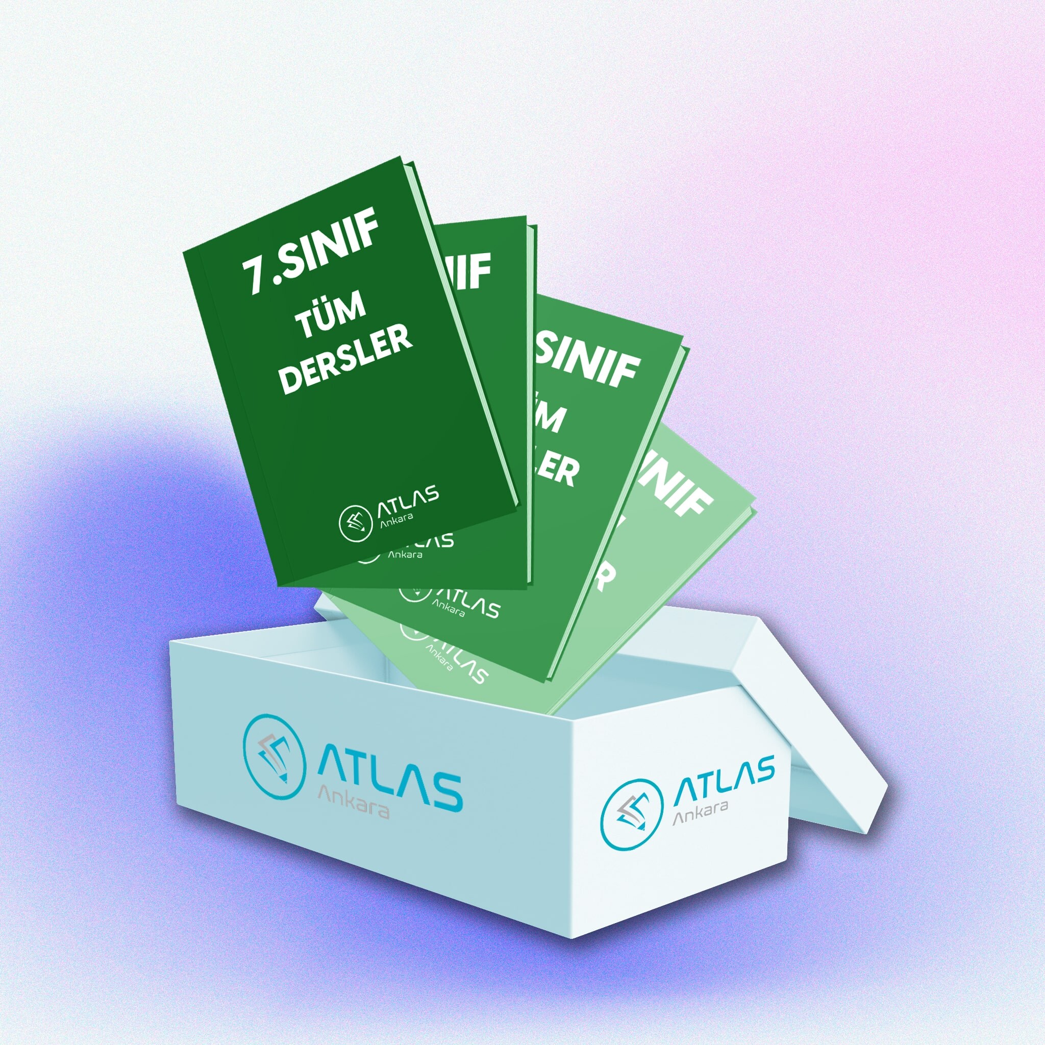 7. Sınıf Tüm Dersler